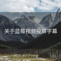 关于蓝莓视频投屏字幕