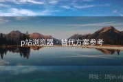 p站浏览器 · 替代方案参考