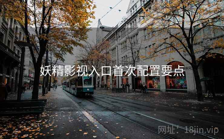 妖精影视入口首次配置要点 妖精影视入口首次配置要点
