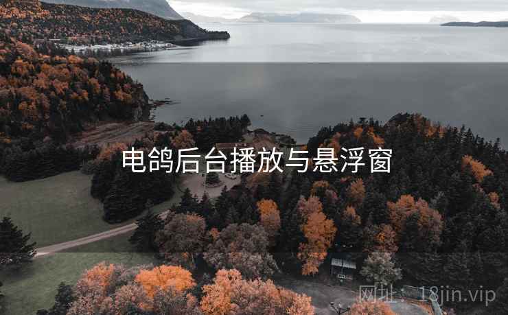 电鸽后台播放与悬浮窗 电鸽后台播放与悬浮窗
