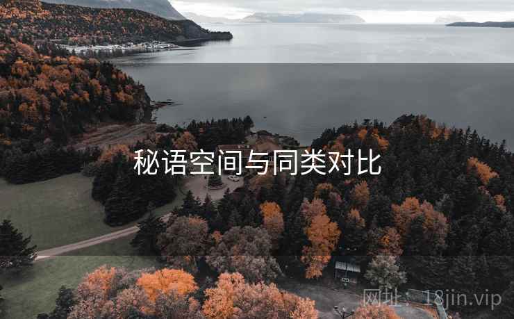 秘语空间与同类对比 秘语空间与同类对比