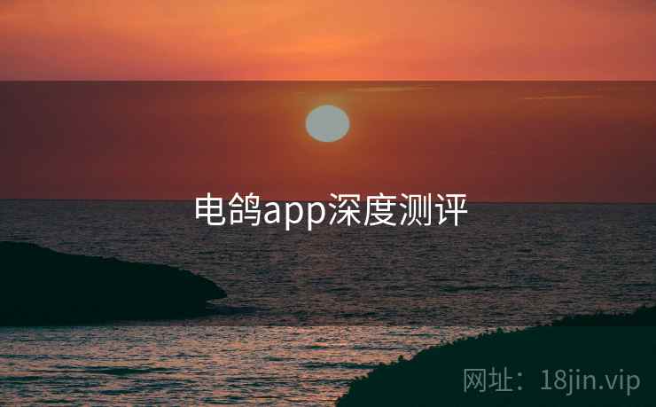 电鸽app深度测评 电鸽app深度测评