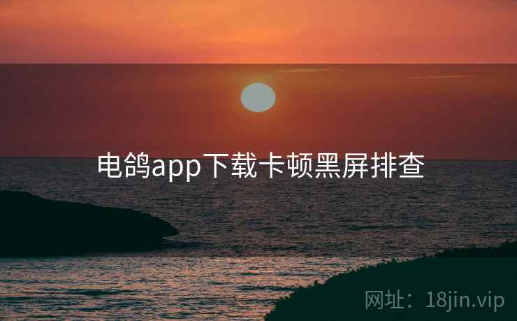 电鸽app下载卡顿黑屏排查 电鸽app下载卡顿黑屏排查